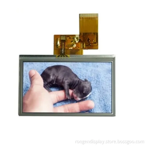 4.3inch TFT LCD with Touch Screen PDA LCD Screen Rg043dtt-02r